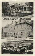 Grün pohlednice 68