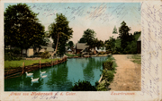 Niederreuth pohlednice 28
