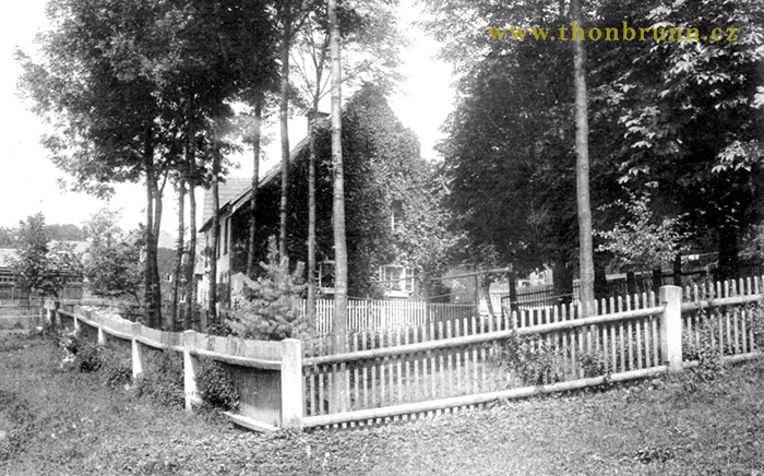 Gasthaus Zum grünen Baum