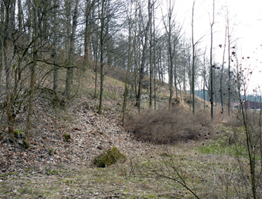 Überreste des Gasthauses Zur Elsterquelle - Wernersreuth 2014