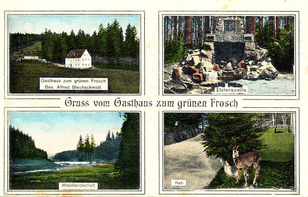 Gasthaus Zum grünen Frosch