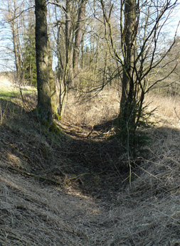 Überreste des Mühlgrabens Frühling 2015