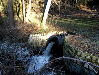 Überreste der Prechtelmühle 2016