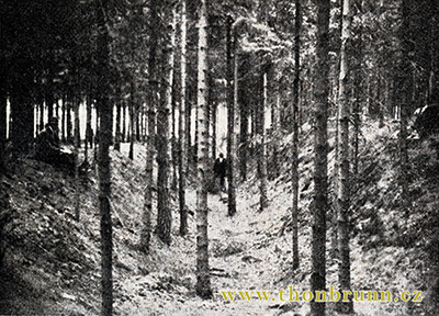 Nebeské šance 1924 Nebeské šance 1924