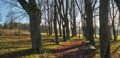 Mähringer Friedhof 2020