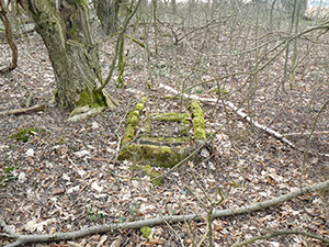 Oberreuther Friedhof 2019