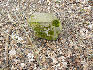 Oberreuther Friedhof 2019