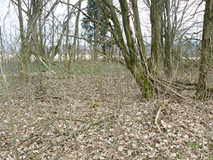 Oberreuther Friedhof 2019